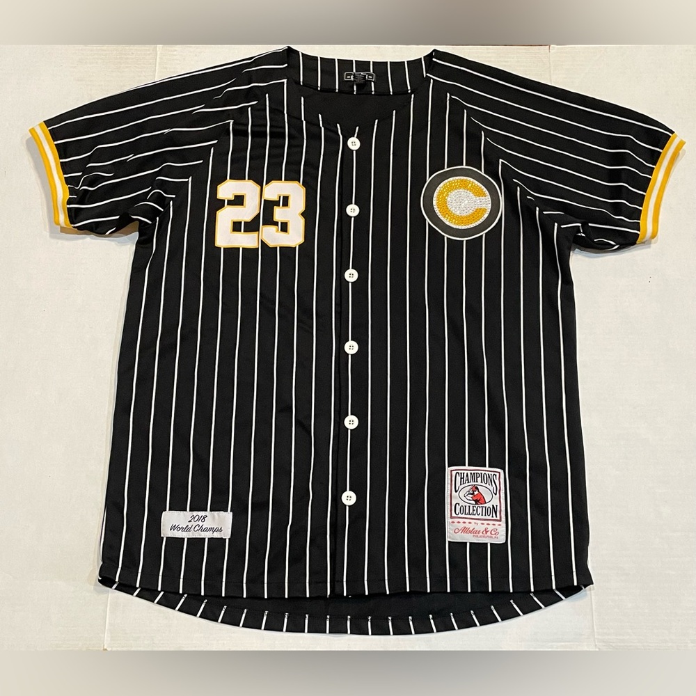 Bare Fox Queen Black Striped Chicago Cubs Jersey Legendary No 23 Women’s 3 Curvy